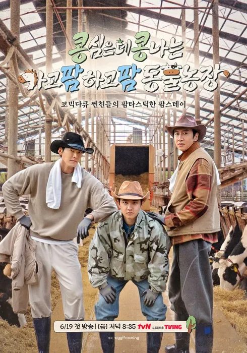 콩콩팜팜