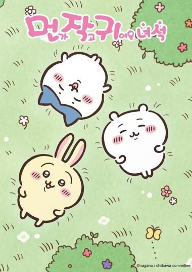먼작귀 몰아보기 시즌 2