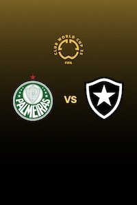 파우메이라스 vs 보타포구