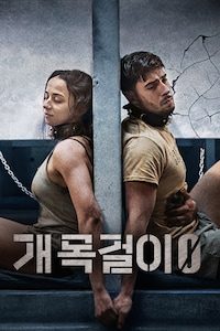 개목걸이 0