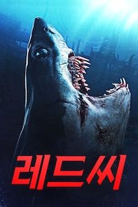 레드 씨