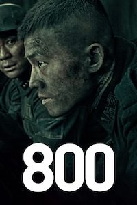 800
