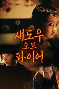 섀도우 오브 파이어