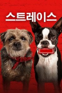 스트레이스