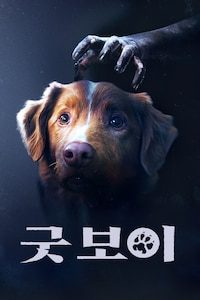 굿보이