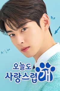 오늘도 사랑스럽개