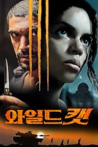 와일드캣