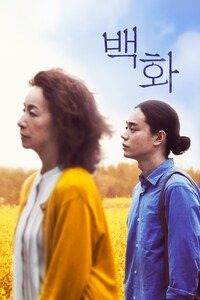 백화