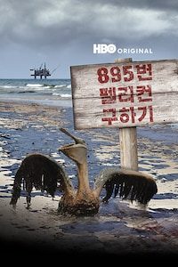 895번 펠리컨 구하기