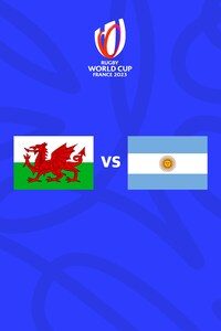 웨일스 vs 아르헨티나