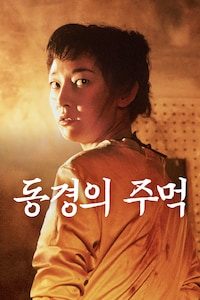동경의 주먹