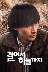 개 같은 날의 오후