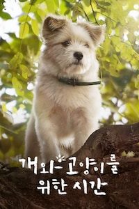 개와 고양이를 위한 시간
