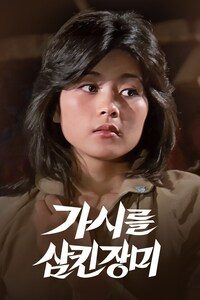가시를 삼킨 장미