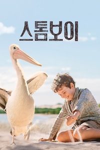 스톰 보이