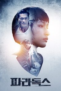 파라독스