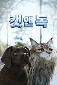 캣 앤 독