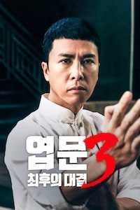 엽문 3: 최후의 대결
