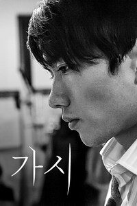 가시