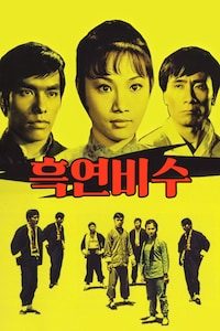 흑연비수