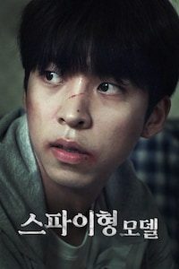 스파이형 모델