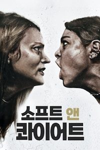 소프트 & 콰이어트