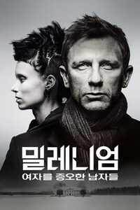 밀레니엄 : 여자를 증오한 남자들