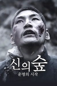 신의 숲: 운명의 시작