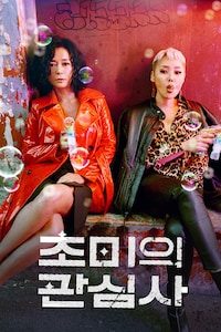 초미의 관심사
