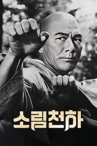 소림천하