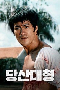 당산대형