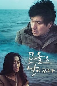 콘돌은 날아간다