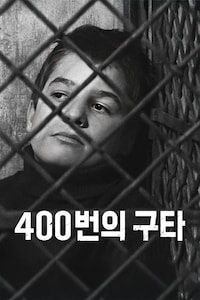 400번의 구타
