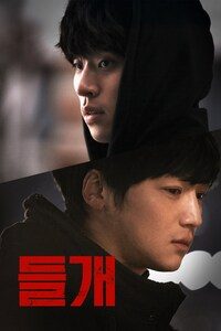 들개