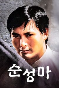 순성마