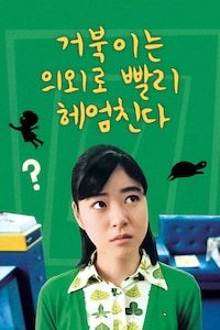 거북이는 의외로 빨리 헤엄친다