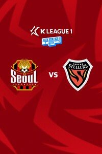 서울 vs 포항