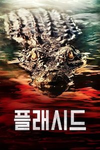 플래시드