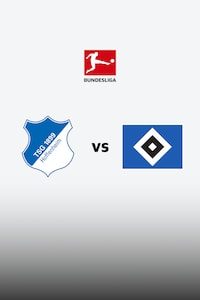 호펜하임 vs 함부르크