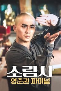 소림사: 영춘권 파이널
