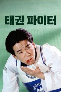 태권 파이터