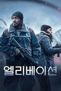 엘리베이션