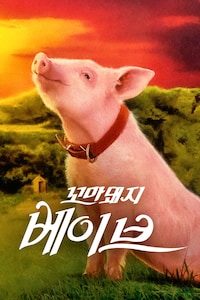 꼬마돼지 베이브