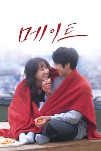 메이트
