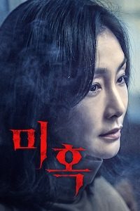 미혹