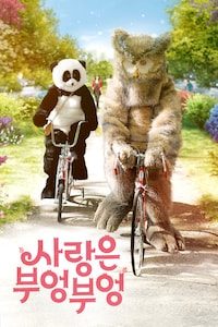 사랑은 부엉부엉