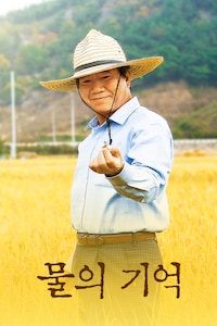 물의 기억