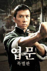 엽문 (특별판)