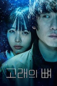 고래의 뼈