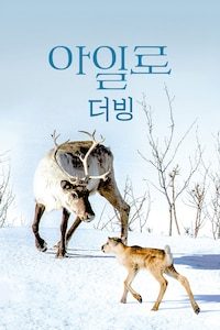 아일로 (더빙)